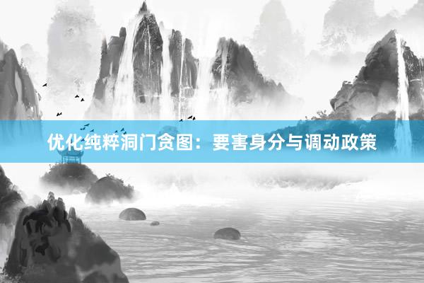 优化纯粹洞门贪图：要害身分与调动政策